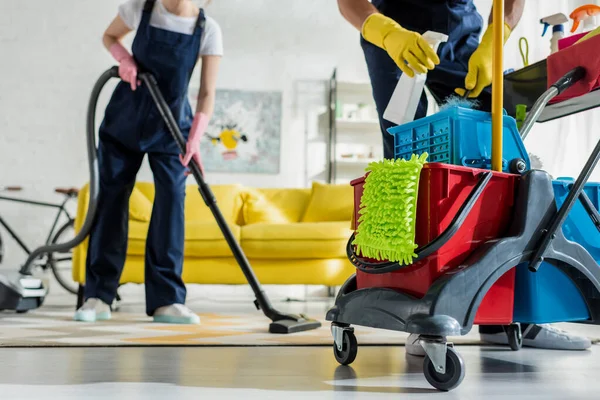 Carpet Cleaning