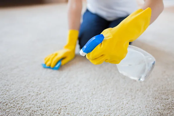 Area Rug Cleaning
